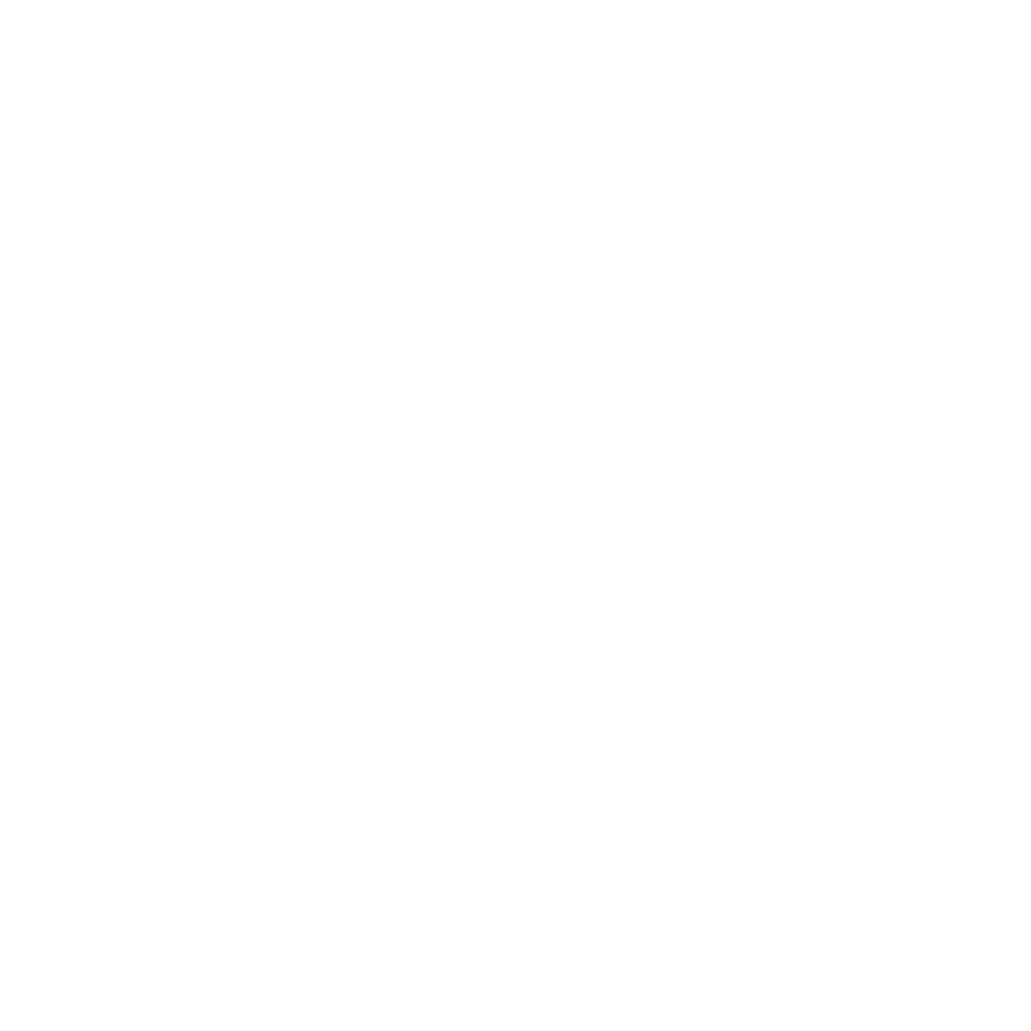 CNN_Brasil_logo-Branco-vazado-PNG.png